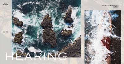 CCD 阿丽拉东澳岛·珠海酒店PPT方案261页